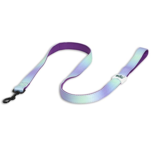 Basil Padded Leash for Dogs (Purple/Blue) - S:1.5cm Width