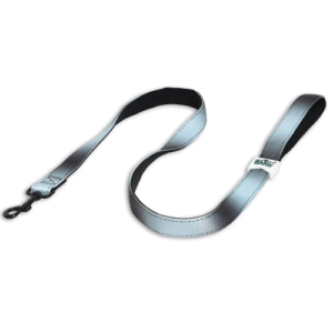 Basil Padded Leash for Dogs (Black/Gray) - L:2.5cm Width