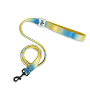 Basil Padded Leash for Dogs (Blue/Yellow) - L:2.5cm Width