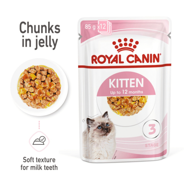 Royal Canin Kitten Jelly Cat Wet Food - 48x85g