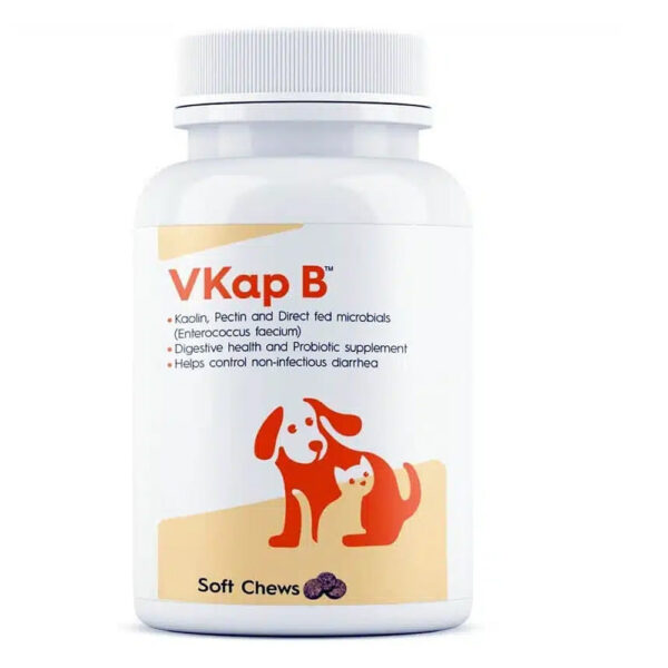 Vvaan Vkap B for Dogs & Cats - 1 Bottle (30 Tablets)
