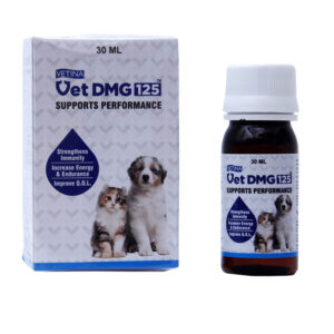 Vetina Vet Dmg 15ml for Dogs and Cats - 15ml