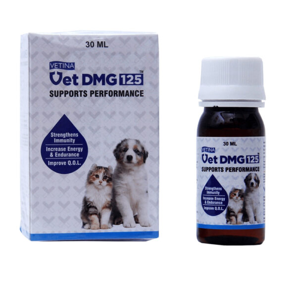 Vetina Vet Dmg 15ml for Dogs and Cats - 15ml