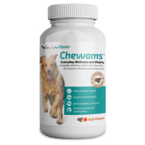 Vvaan Chevvams tablets for Dogs - 1 Bottle (30 tablets)