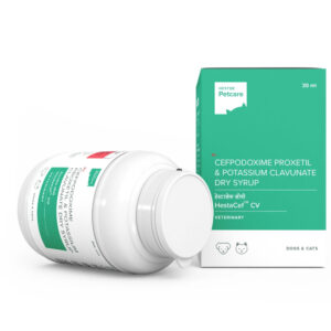 Hester Hestacef CV Dry Syrup (Cefpodoxime Proxetil) 30ml for Dogs and Cats - 30ml