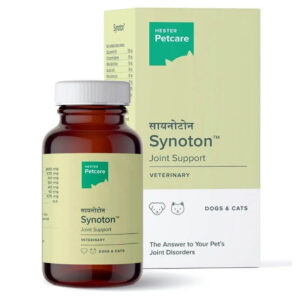 Hester Synoton Joint Support Tablet for Dogs and Cats - 1 bottle (30 Tablets)