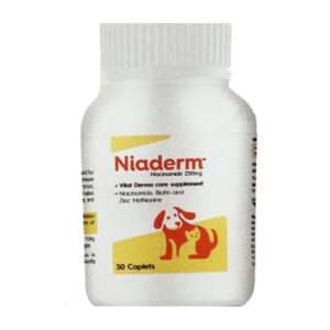 Vvaan Niaderm 500mg (Niacinamide) Capsules for Dogs and Cats - 1 Bottle (30 tablets)