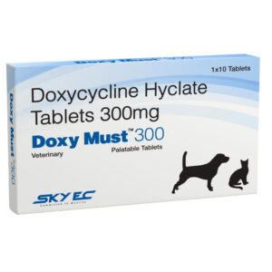 Skyec Doxy Must 300mg Tablets for Dogs and Cats - 1 Strip (10 Tablets)