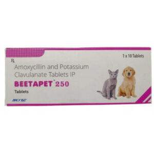 Skyec Beetapet Tablet 250mg for Dogs and Cats - 1 Strip (10 Tablets)