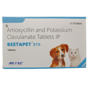 Skyec Beetapet Tablet 375mg for Dogs and Cats - 1 Strip (10 Tablets)