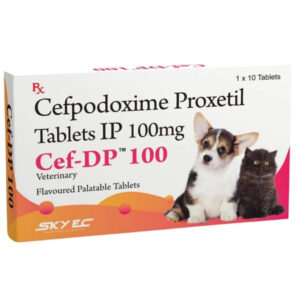 Skyec Cef -Dp 100mg for Dogs and Cats - 1 Strip (10 Tablets)