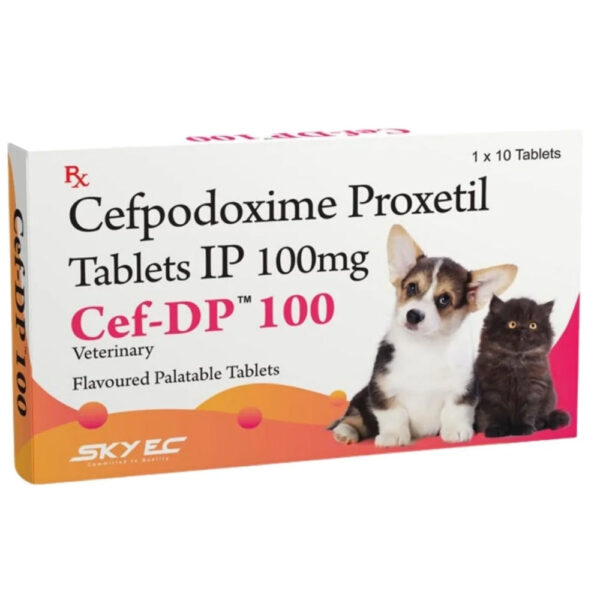 Skyec Cef -Dp 100mg for Dogs and Cats - 1 Strip (10 Tablets)