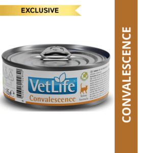 Farmina Vet Life Convalescence Feline Formula Cat Wet Food - 24x85g