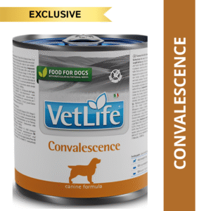 Farmina Vet Life Convalescence Canine Formula Dog Wet Food - 12x300g