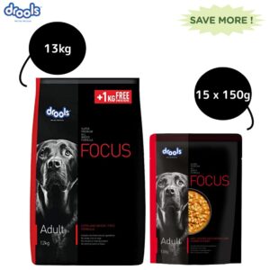 Drools Focus Super Premium Adult Dry Dog Food and Real Chicken & Chicken Liver Chunks in Gravy Adult Dog Wet Food Combo - 13kg + 15x150g