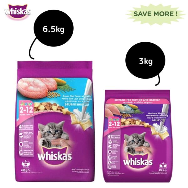 Whiskas Ocean Fish and Mackerel Flavour Kitten Cat (2 to 12 months) Dry Food Combo - 6.5+3kg