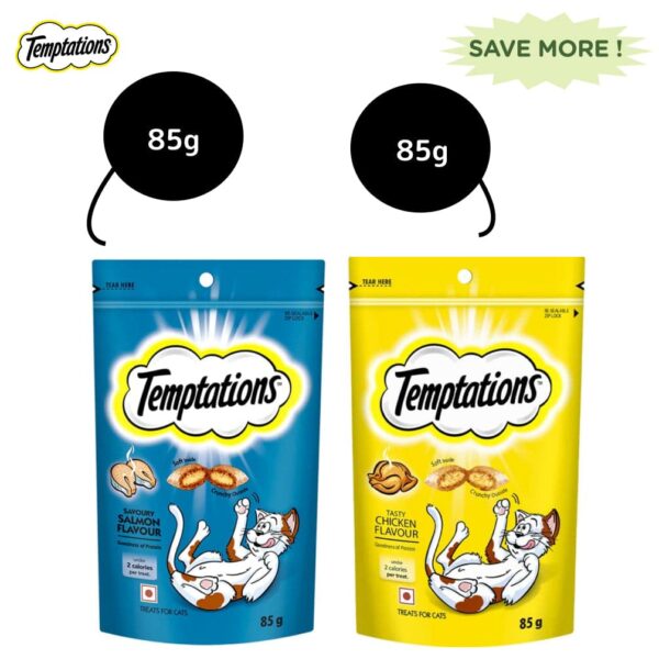 Temptations Tasty Chicken and Savoury Salmon Flavour Cat Treats Combo - 2x85g