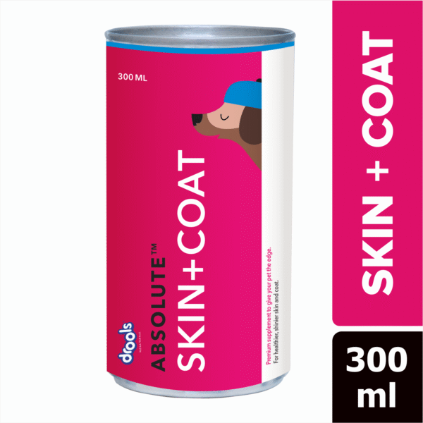 Drools Absolute Skin & Coat Syrup Supplement for Dogs - 2x300mL