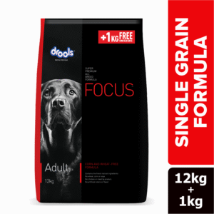 Drools Focus Super Premium Adult Dog Dry Food | Corn & Wheat Free Formula - 1.2kg