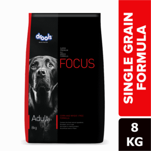 Drools Focus Super Premium Adult Dry Dog Food | Corn & Wheat Free Formula - 13kg (12+1kg)