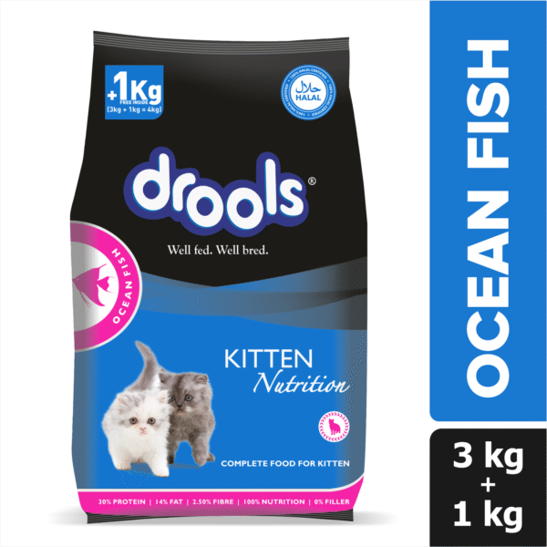 Drools Ocean Fish Kitten Cat Dry Food - 1.2kg (Free Container)