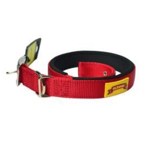 Glenand Padded Collar for Dogs (Red) - 1in Width
