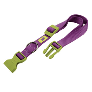 Ferplast Club C Nylon Collar for Dogs (Purple) - 10/25: 7 -10in Neck