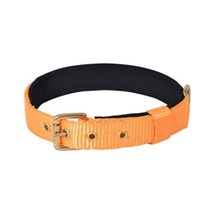 Glenand Petz Pure Nylon Padded Collar for Dogs (Orange,1 inches) - One Size:14in Neck