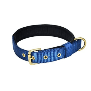 Glenand Petz Pure Nylon Padded Collar for Dogs (Dark Blue,3/4 inches) - One Size:8in Neck