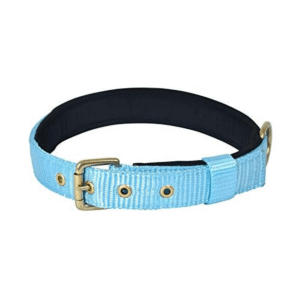 Glenand Petz Pure Nylon Padded Collar for Dogs (Light Blue,3/4 inches) - 8in Neck