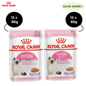 Royal Canin Kitten Jelly and Kitten Loaf Cat Wet Food Combo - 24x85g