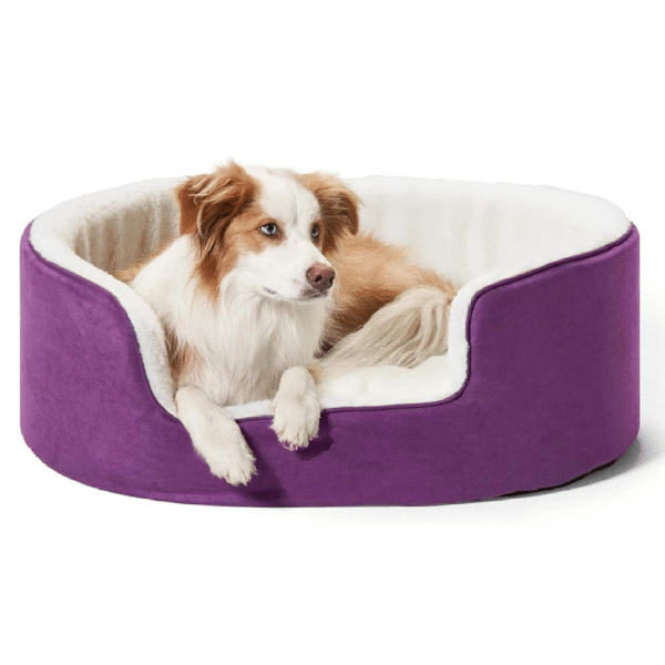 Fluffy's Petslover Warm Fleece Winter Round Shape Reversible Ultra Soft Bed with Cushion Pillow for Dogs and Cats (Purple) - L