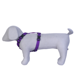 Pets Like Full Harness for Dogs (Purple) - L:73 -114cm Girth