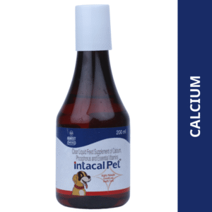 Intas Intacal Pet Calcium Supplement for Dogs and Cats - 200mL