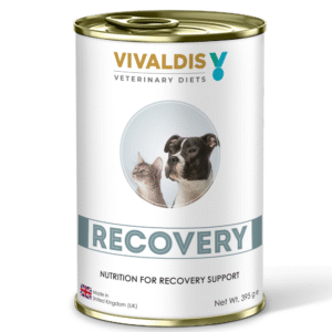 Vivaldis V Diet Recovery Diet Dog Wet Food - 395g