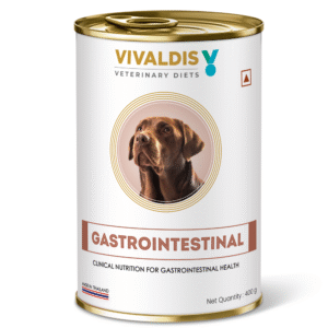 Vivaldis V Diet Gastrointestinal Dog Wet Food - 400g