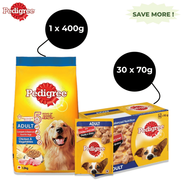 Pedigree Chicken & Liver Chunks in Gravy Pouch Adult Wet Food and Chicken & Vegetables Adult Dog Dry Food Combo - 400g + 30x70g