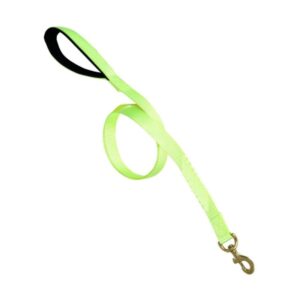 FG -Glenand Petz Pure Nylon Padded Leash for Dogs (Green) (0.75in Width) - 0.75in Width