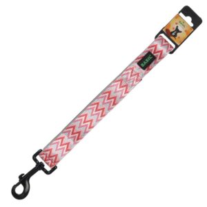 FG -Basil Printed Leash for Dogs and Cats (Assorted) (XL:31mm Width) - XL:31mm Width