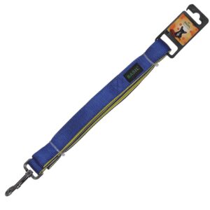 Basil Nylon Padded Leash for Dogs (Blue) - L:25mm Width