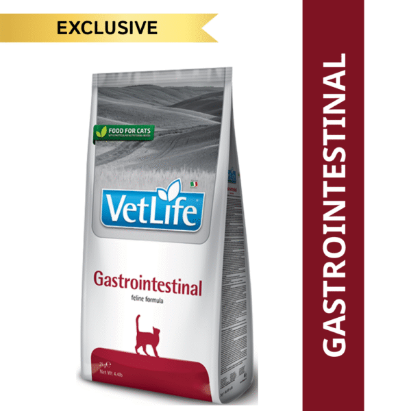Farmina Vet Life Gastrointestinal Feline Formula Cat Dry Food - 2x2kg