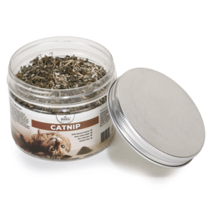Basil Catnip in a Jar for Cats - 30g