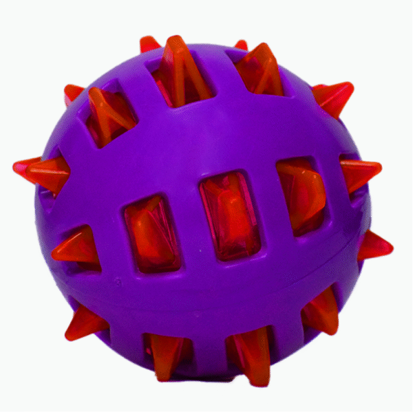 Basil Squeaky Rubber Ball Toy for Dogs - Purple/Red