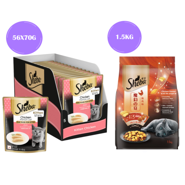 Sheba Chicken Loaf Premium Kitten (2 to 12 Months) Wet Food and Chicken All Life Stage Cat Dry Food Combo - 56x70g+1.5kg