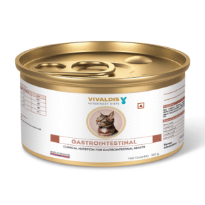 Vivaldis V Diet Gastrointestinal Diet Cat Wet Food - 190g