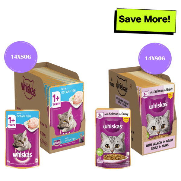 Whiskas Salmon in Gravy Meal and Ocean Fish Adult Cat Wet Food Combo - 14x80g + 14x80g