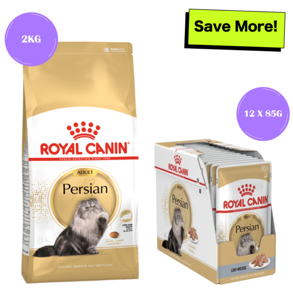 Royal Canin Persian Adult Cat Dry and Wet Food Combo - 4kg(Dry)+12x85g(Wet)