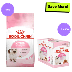 Royal Canin Kitten Cat Dry and Wet Food Combo - 2kg(Dry)+12x85g(Wet)