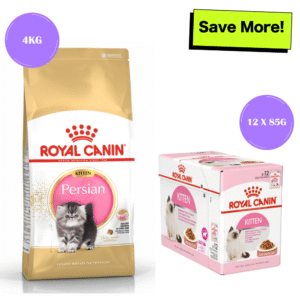 Royal Canin Persian Dry Food and Gravy Kitten Cat Wet Food Combo - 4kg(Dry)+12x85g(Wet)