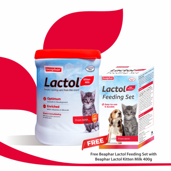 Beaphar Lactol Milk Replacement Powder for Kitten - 200g